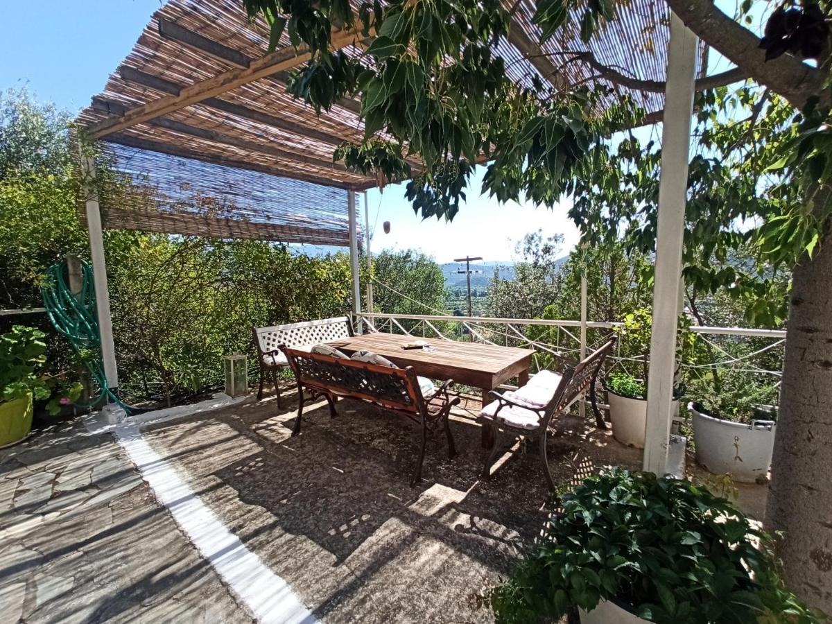 Heras Garden *