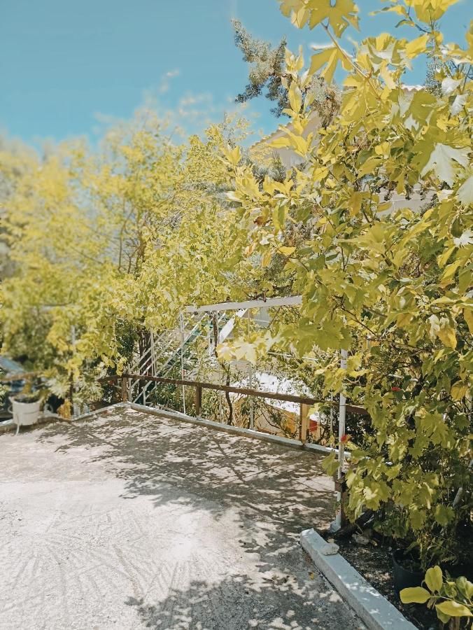 Heras Garden ואסיליקי